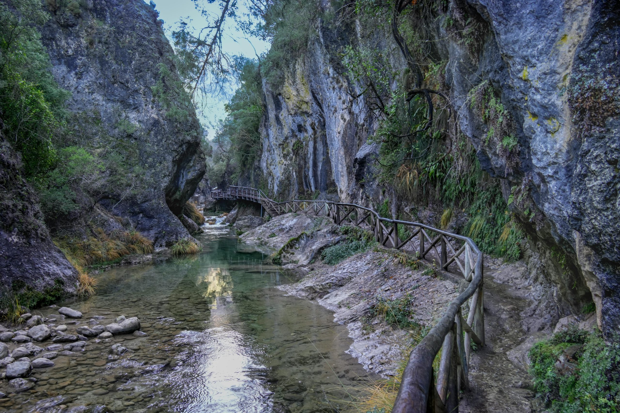 pexels emilio sanchez hernandez 285921208 35309968